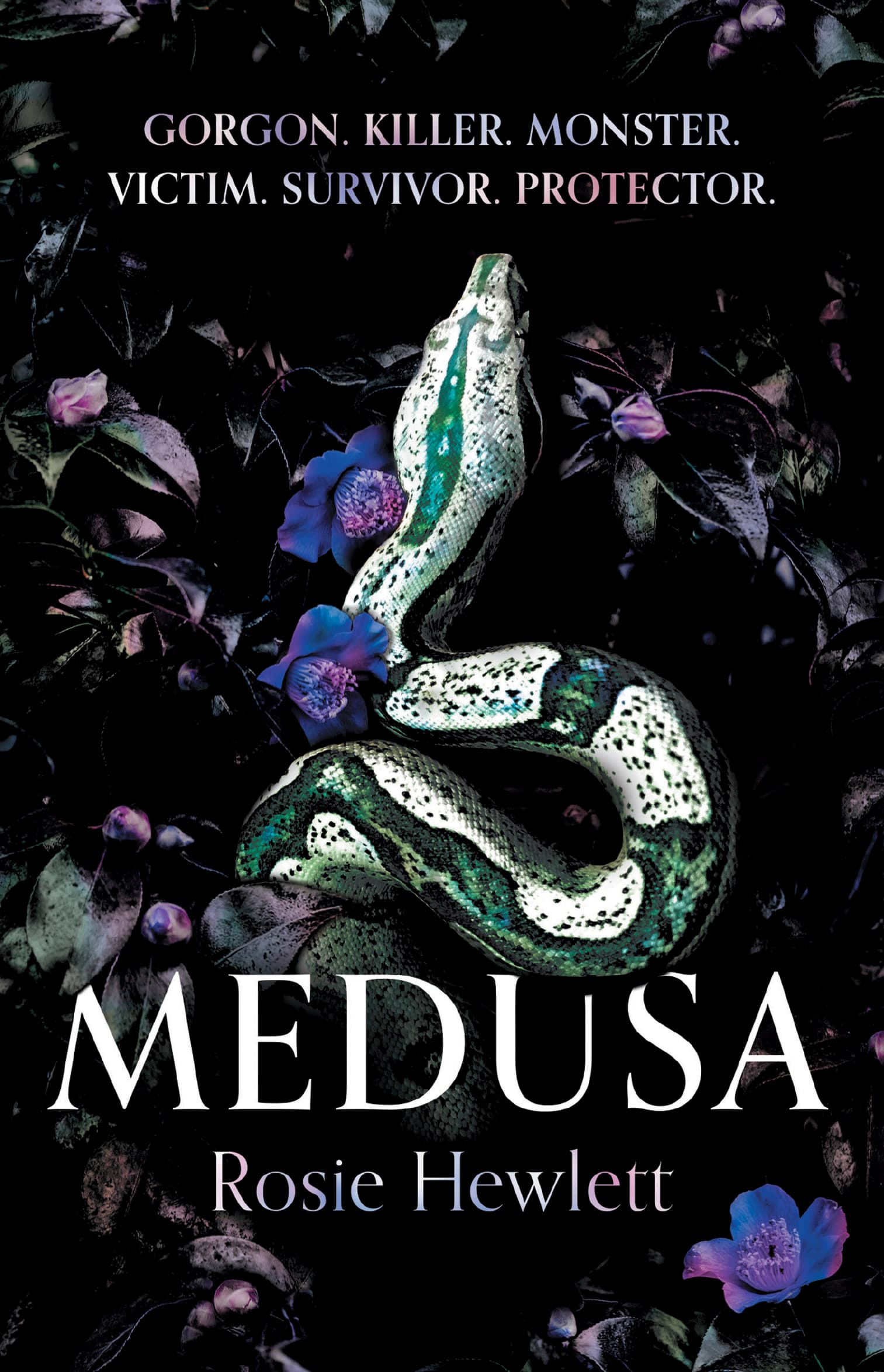 Medusa book cover