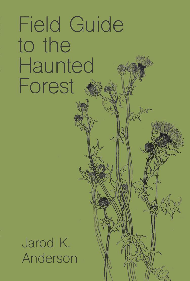 Field Guide to the Haunted Forest book cover