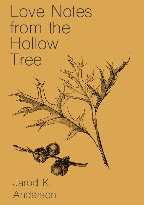 Love Notes From The Hollow Tree book cover