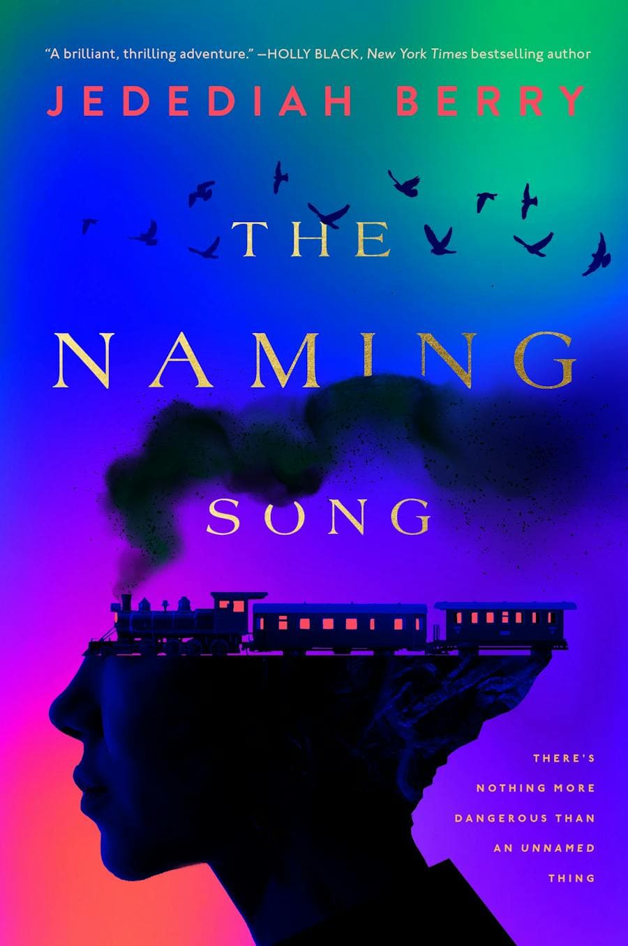 The Naming Song book cover