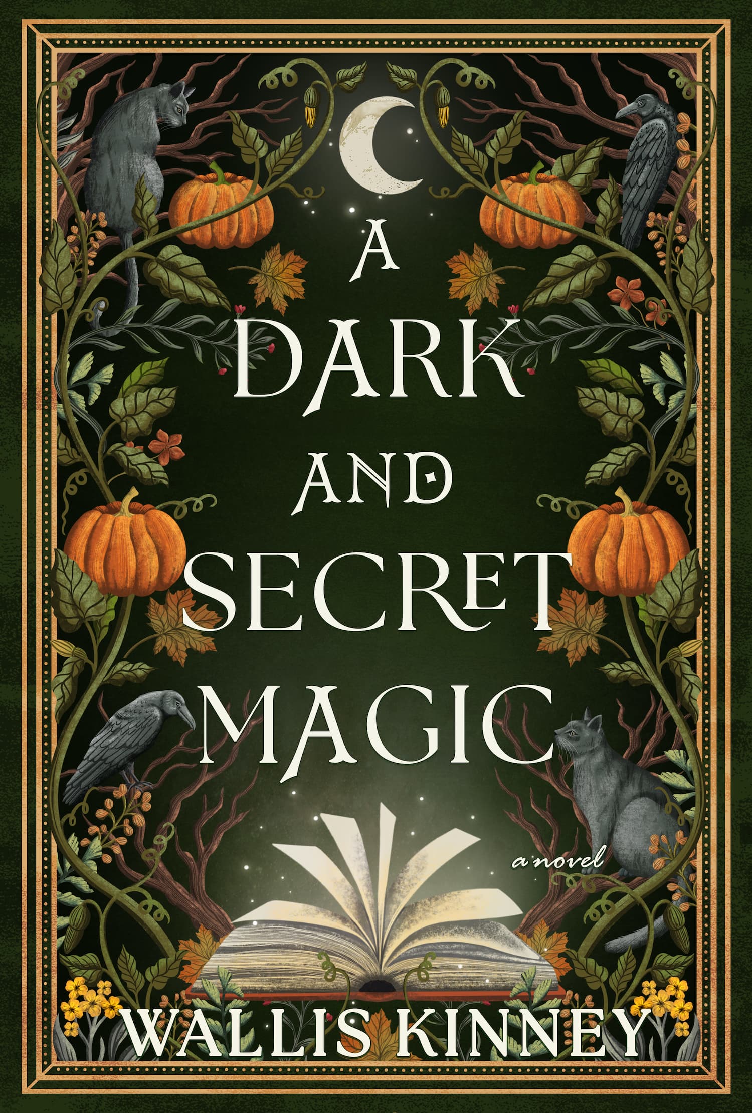 A Dark and Secret Magic book cover