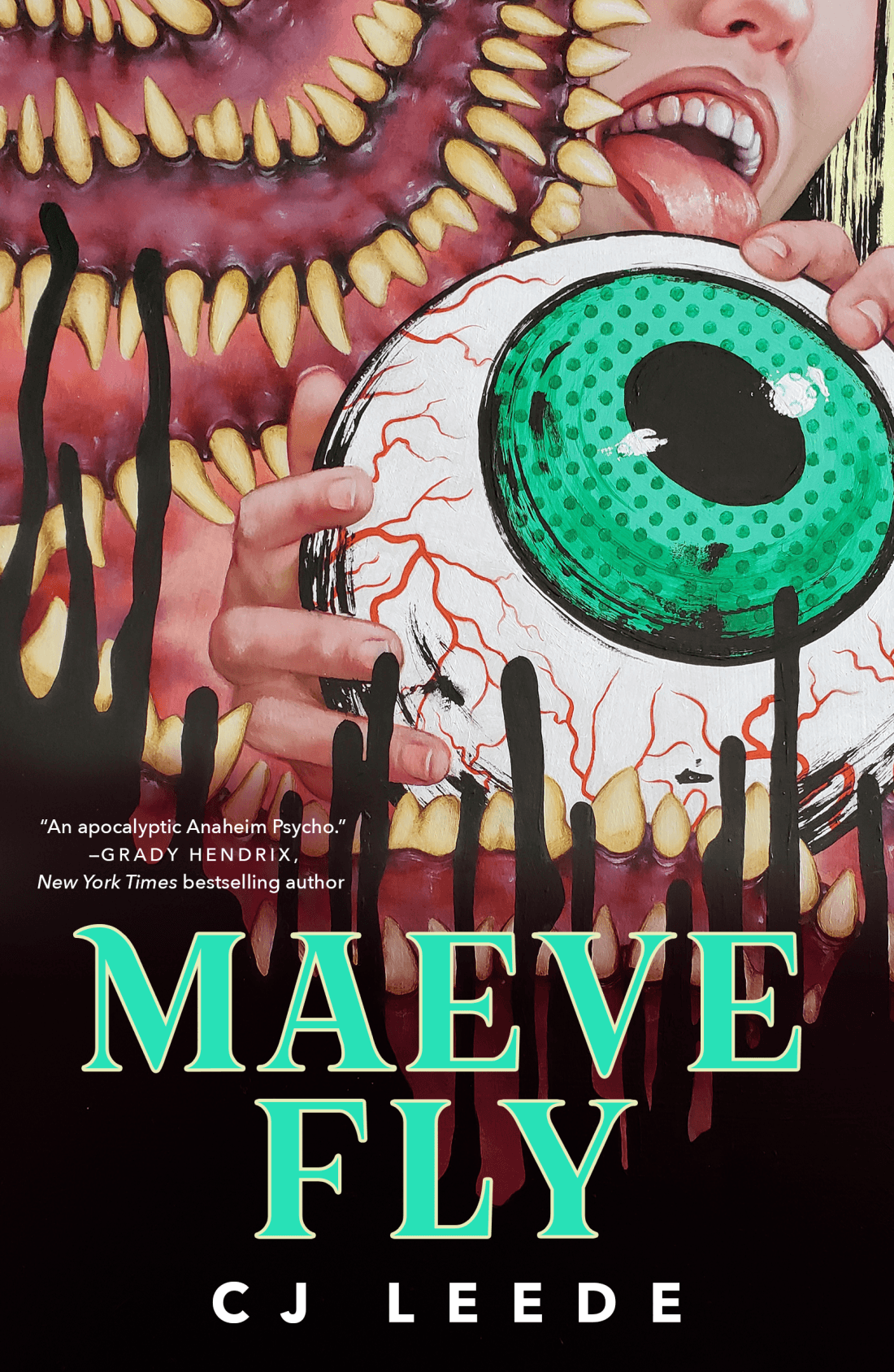 Maeve Fly book cover
