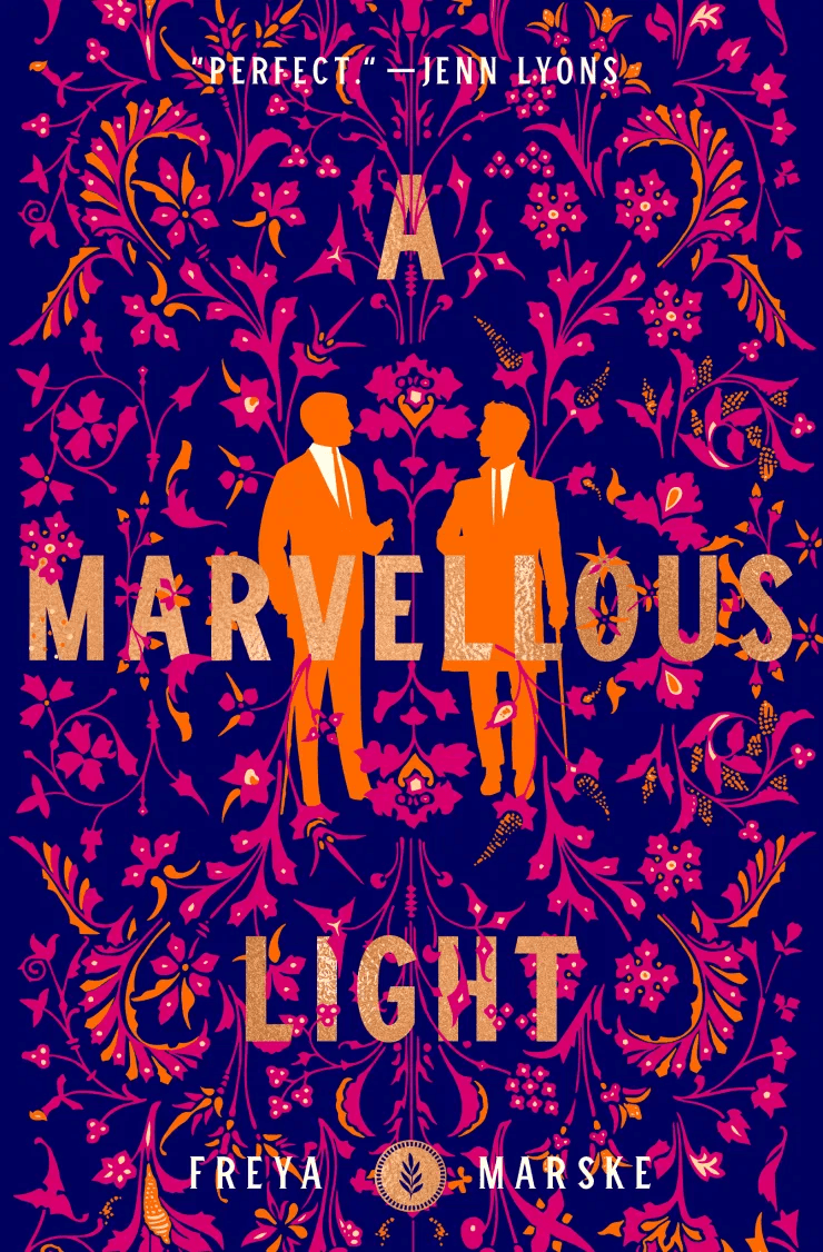 A Marvellous Light book cover