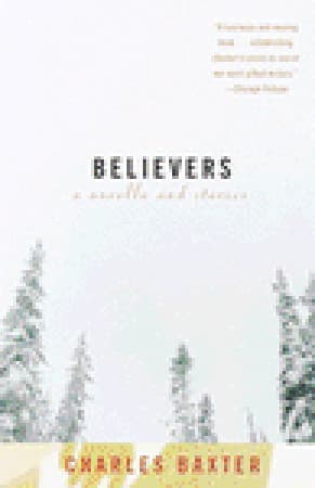 Believers: A novella and stories book cover