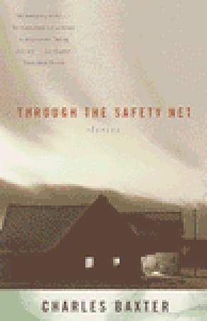 Through the Safety Net book cover