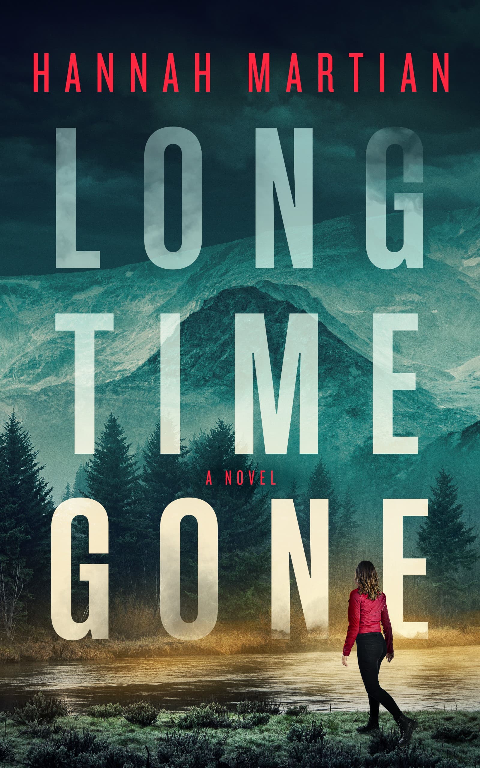Long Time Gone book cover