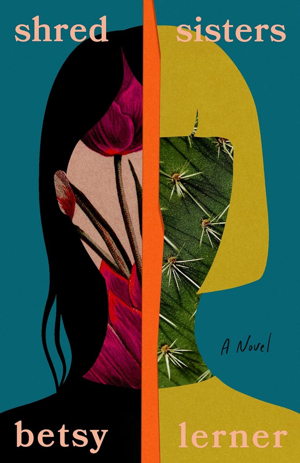 Shred Sisters book cover
