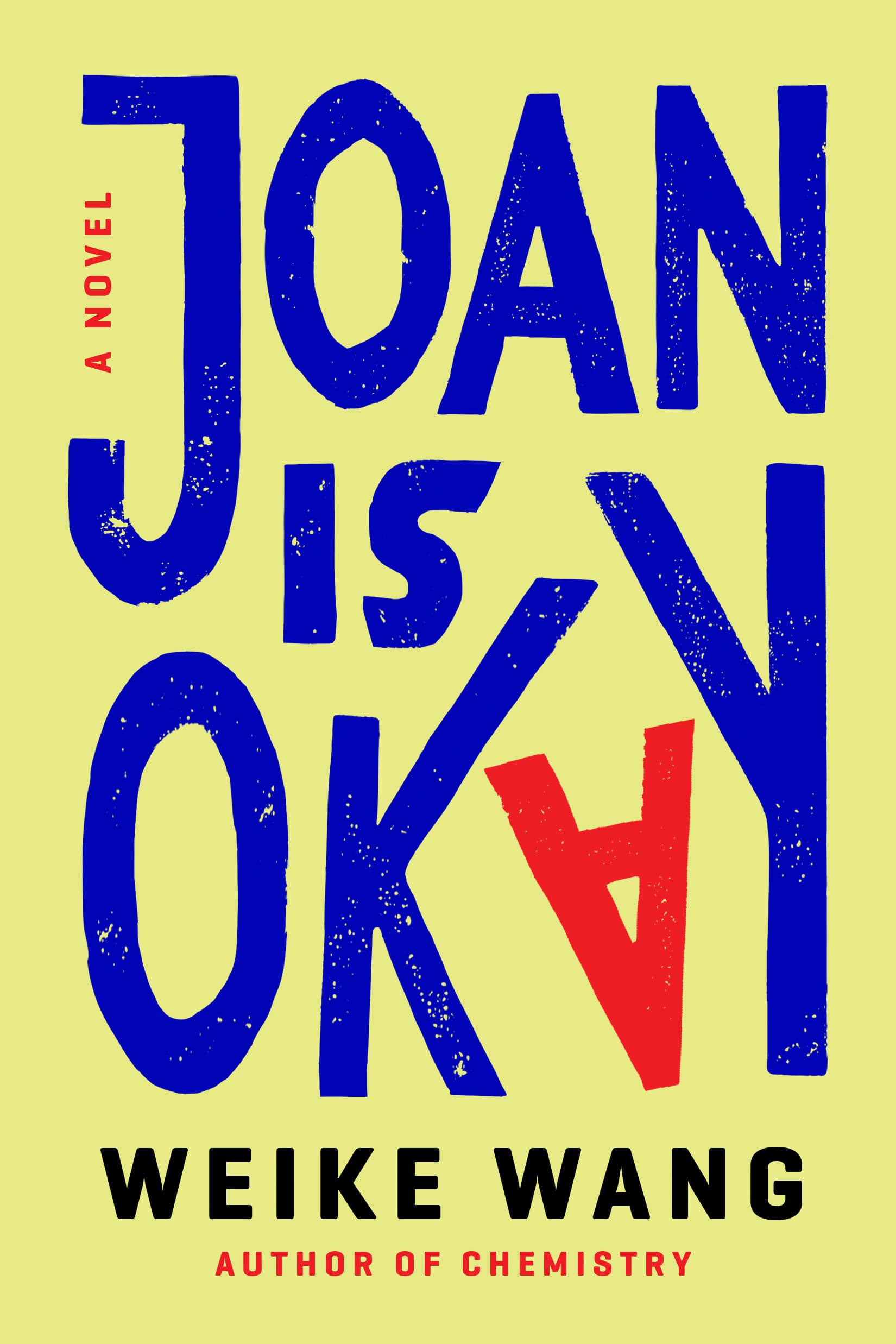 Joan Is Okay book cover