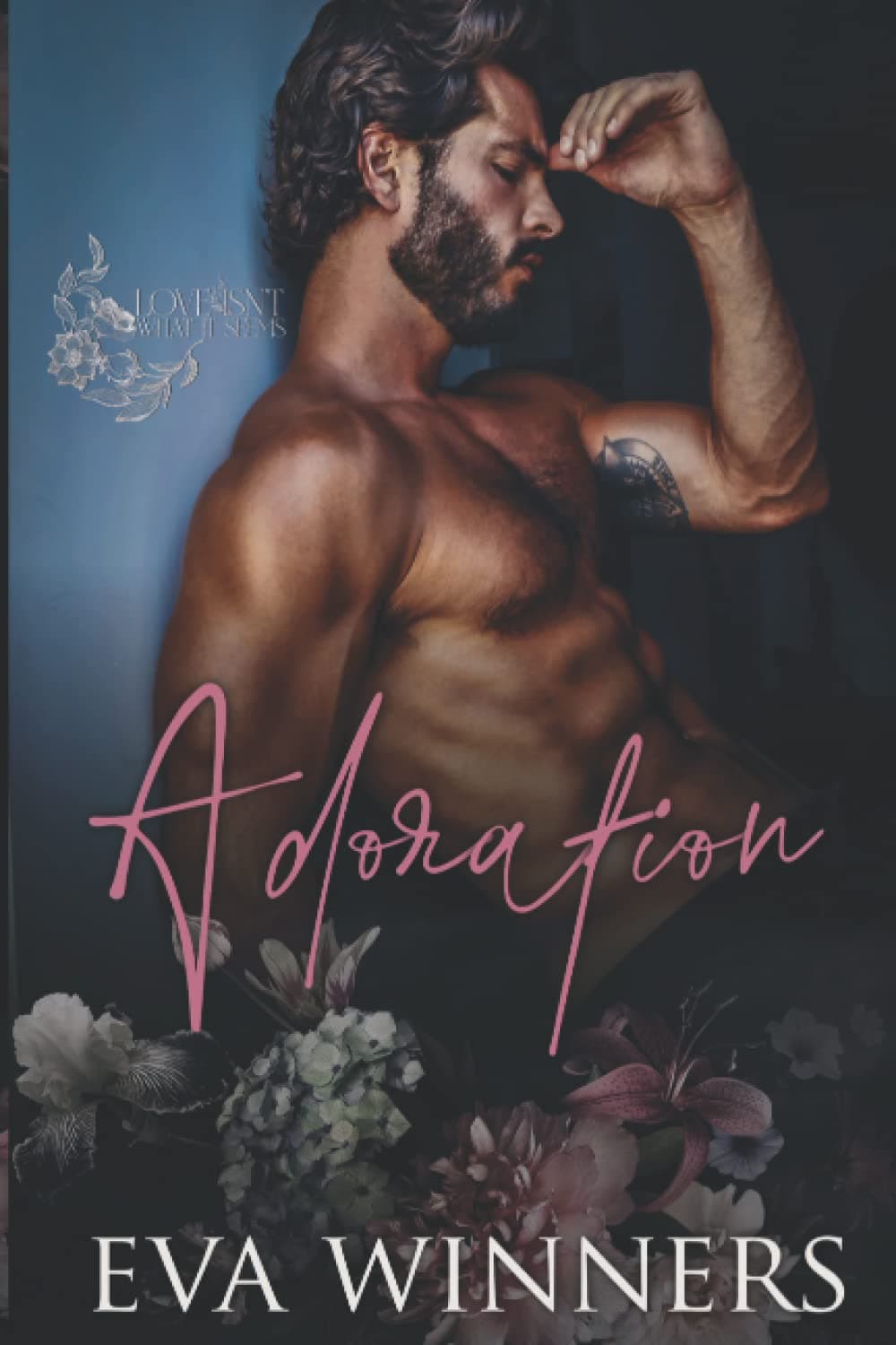 Adoration: Isn't What It Seems book cover