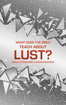 What Does the Bible Teach about Lust?: A Short Book on Desire book cover