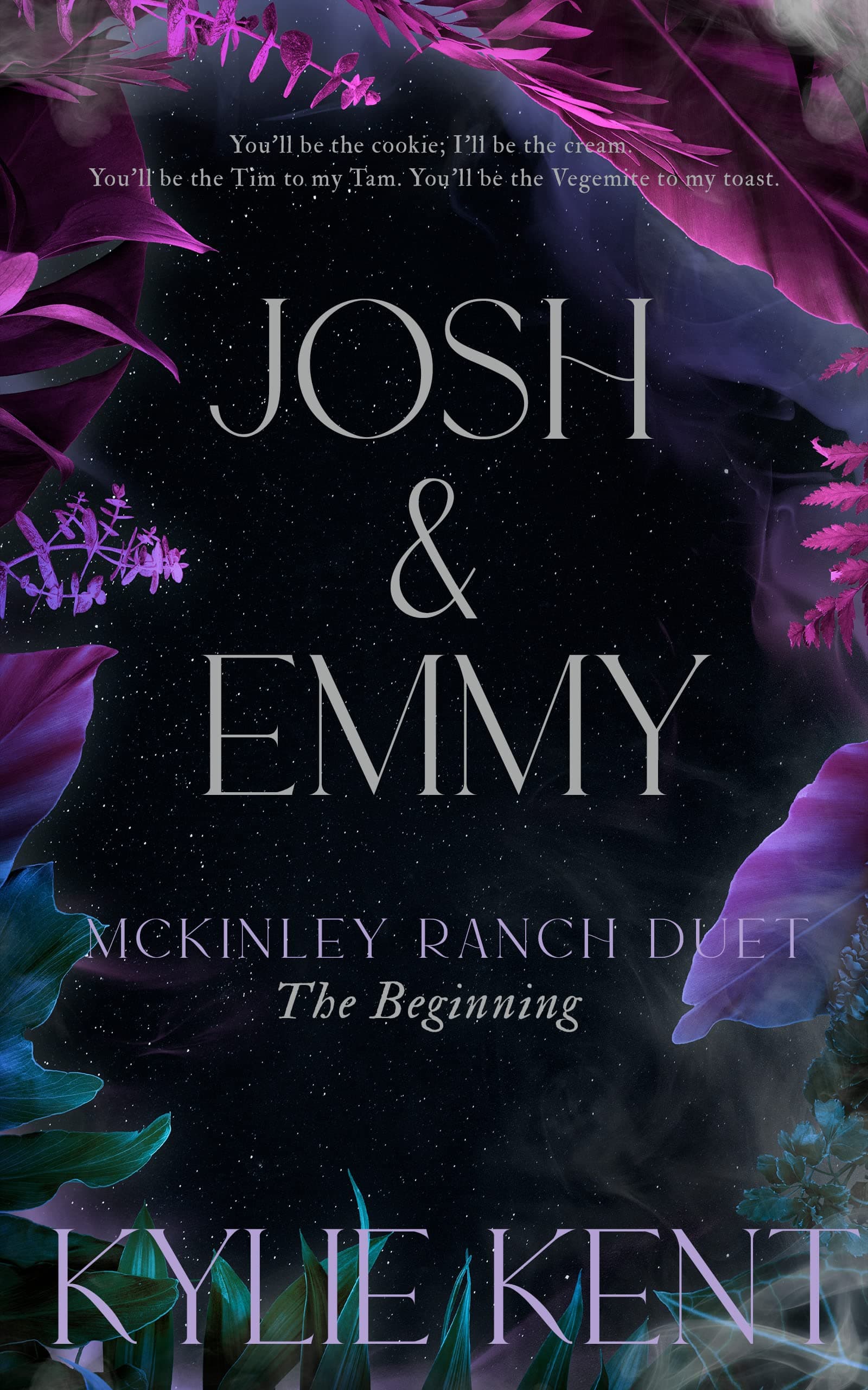 Josh and Emmy book cover