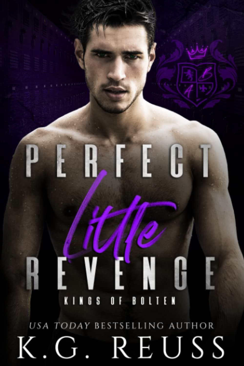 Perfect Little Revenge book cover