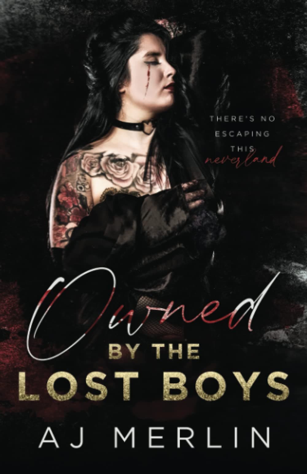 Owned By The Lost Boys book cover