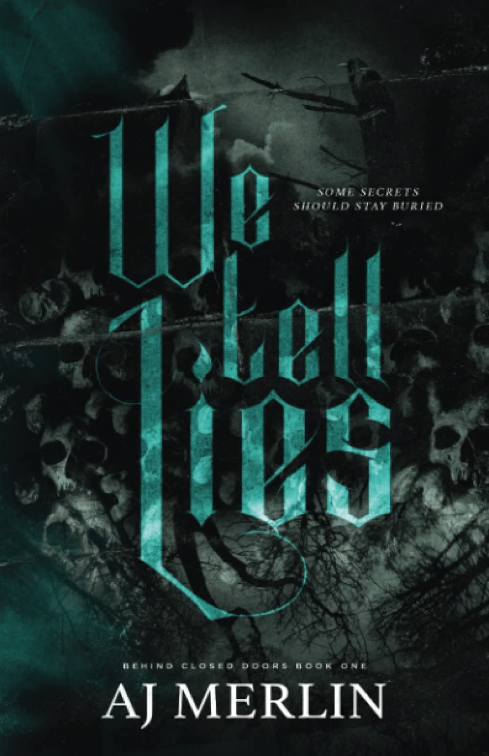 We Tell Lies book cover