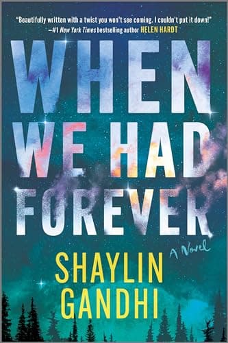 When We Had Forever: A Novel book cover