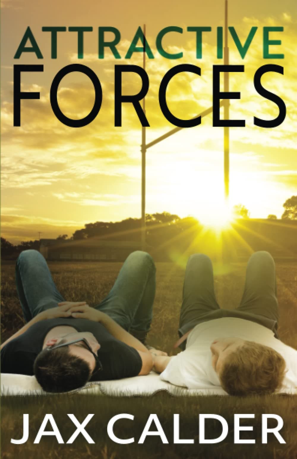 Attractive Forces book cover