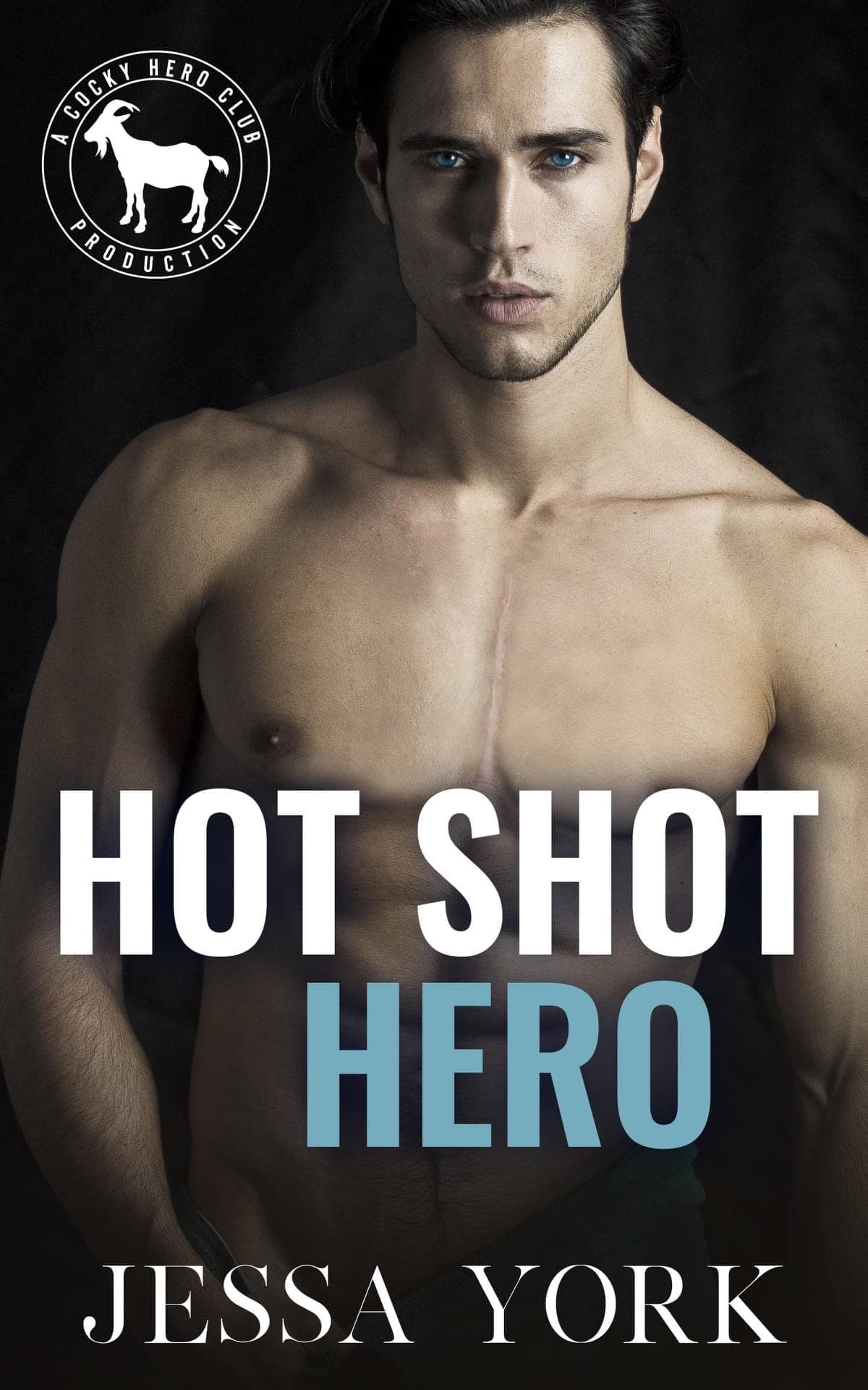 Hot Shot Hero book cover