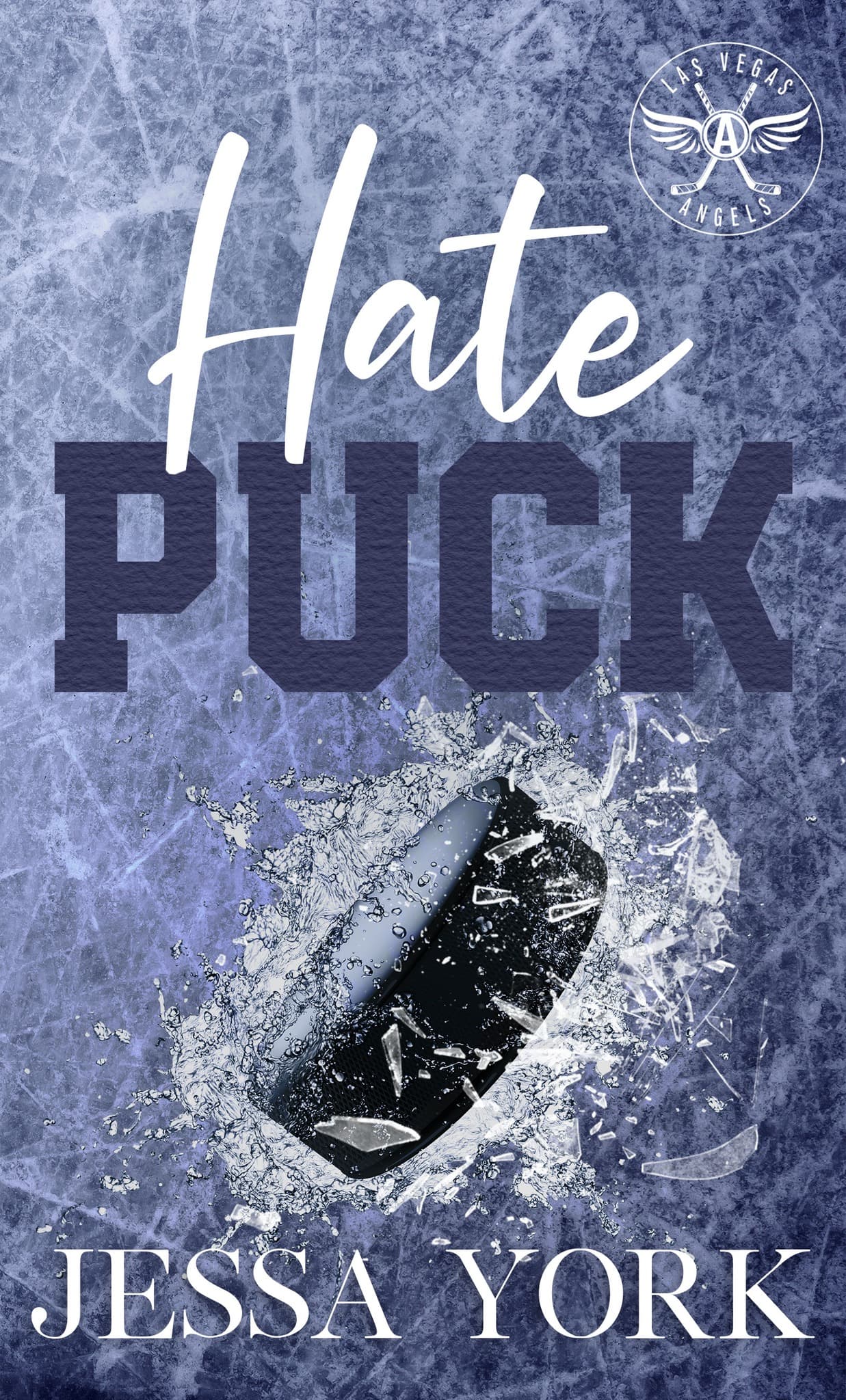 Hate Puck book cover