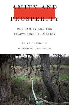 Amity and Prosperity: One Family and the Fracturing of America book cover