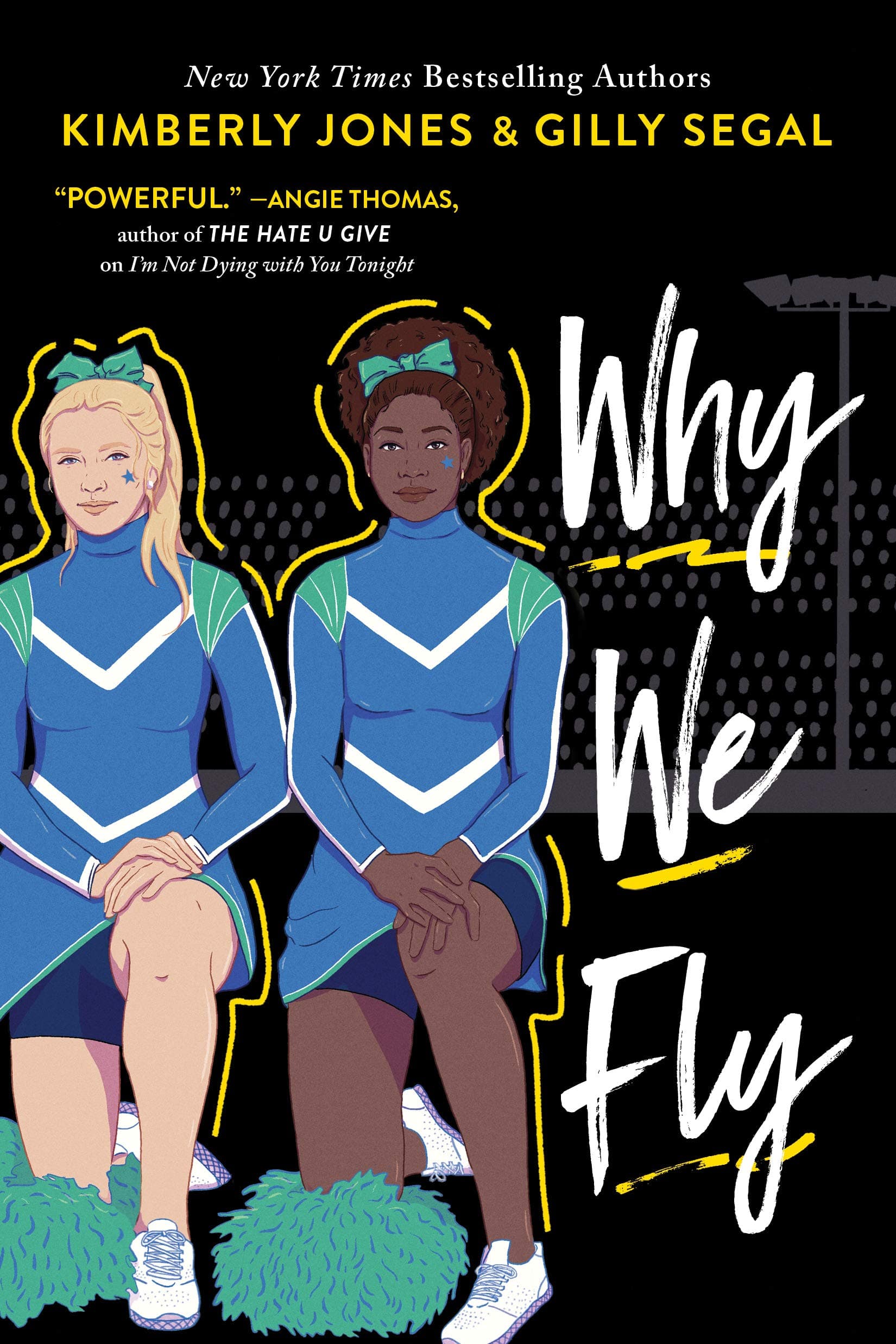 Why We Fly book cover