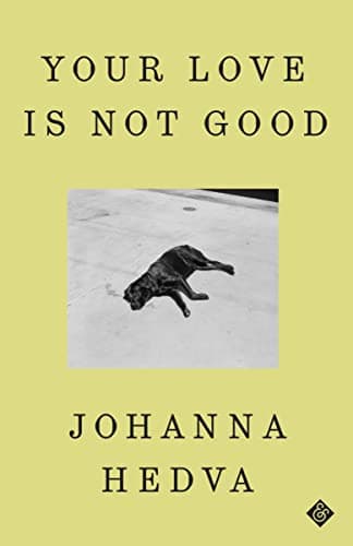 Your Love Is Not Good book cover