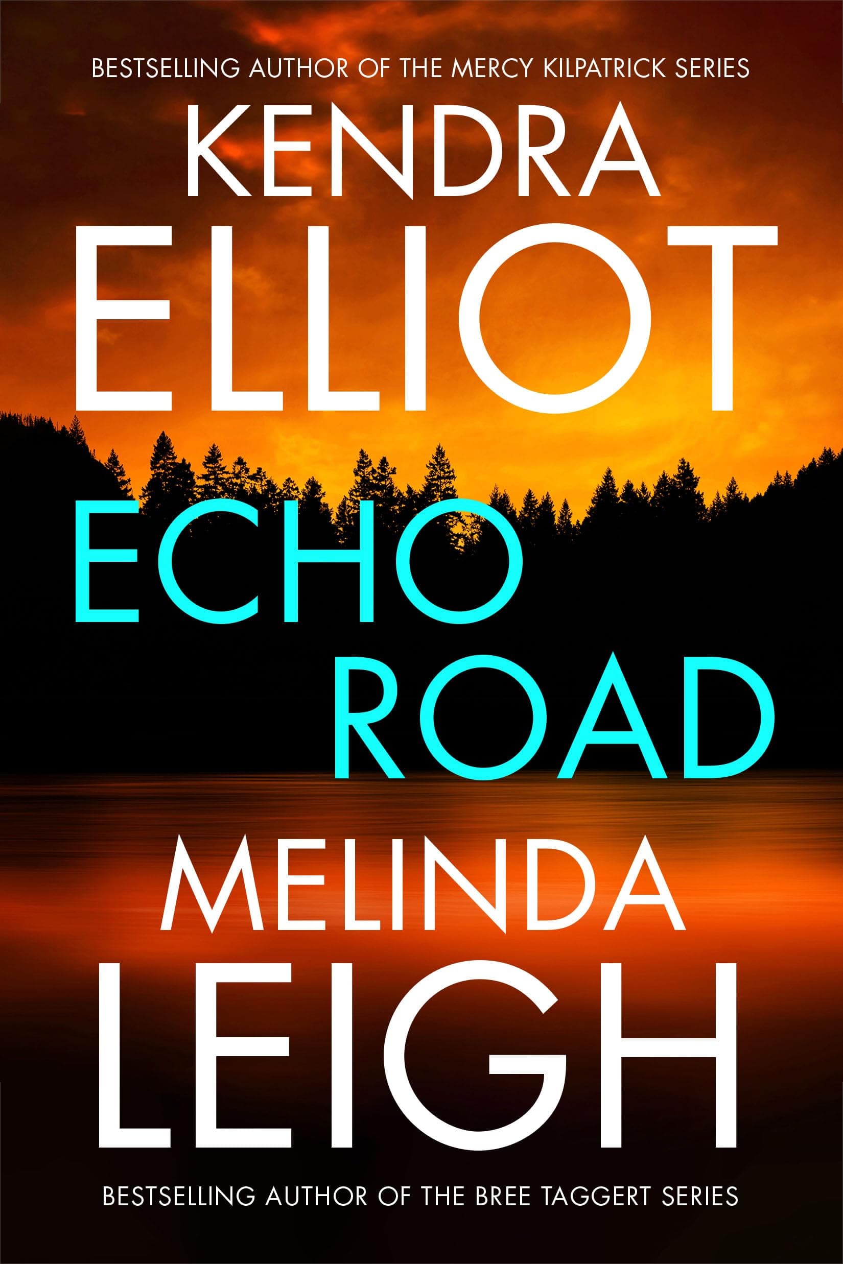 Echo Road book cover