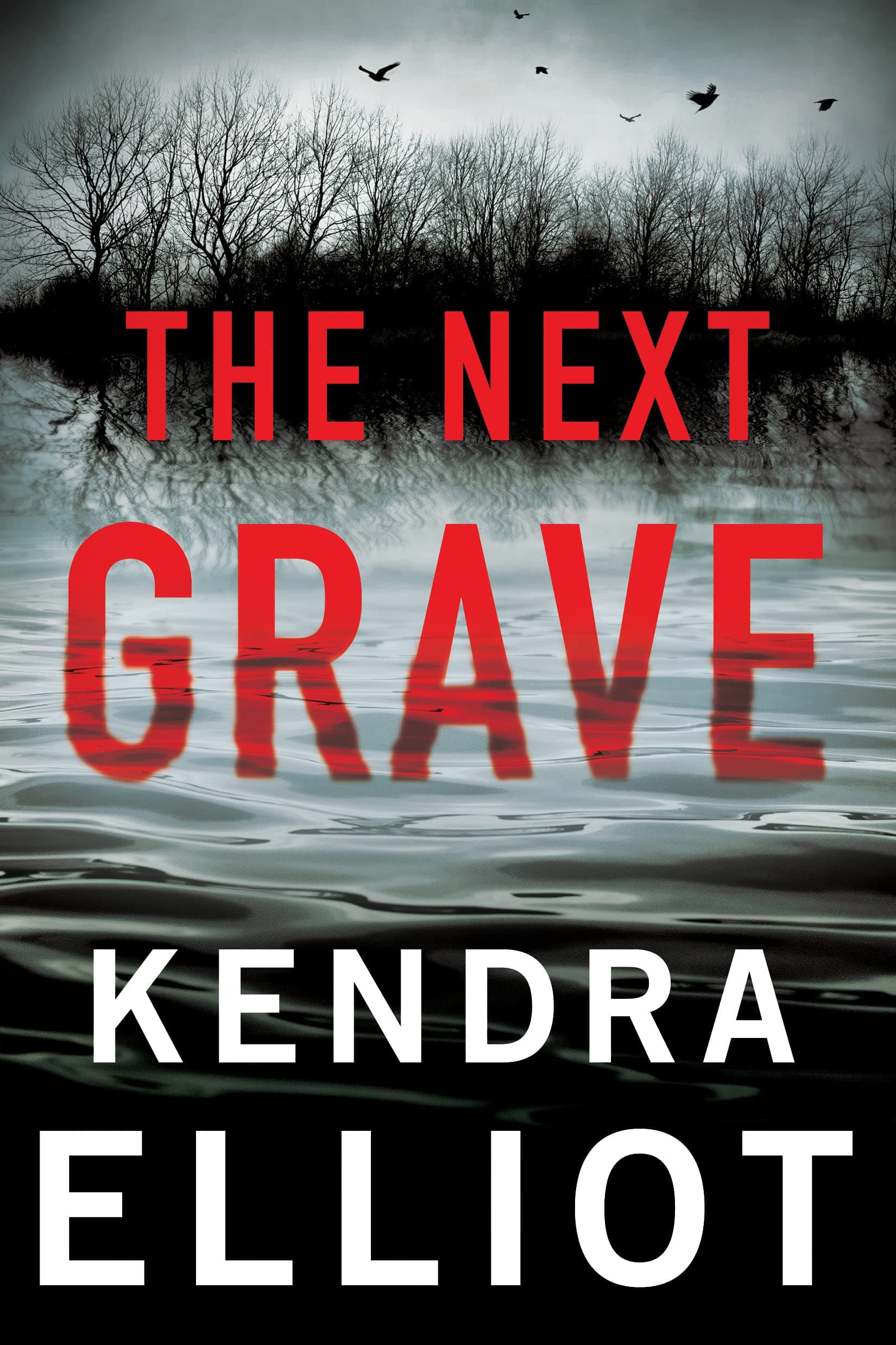 The Next Grave book cover