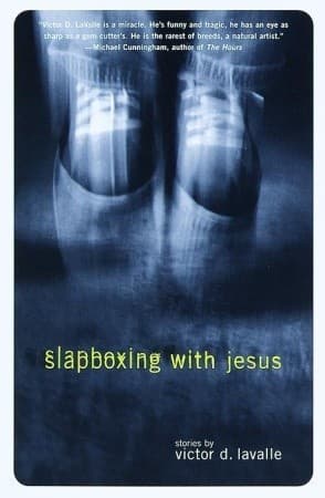 Slapboxing with Jesus book cover