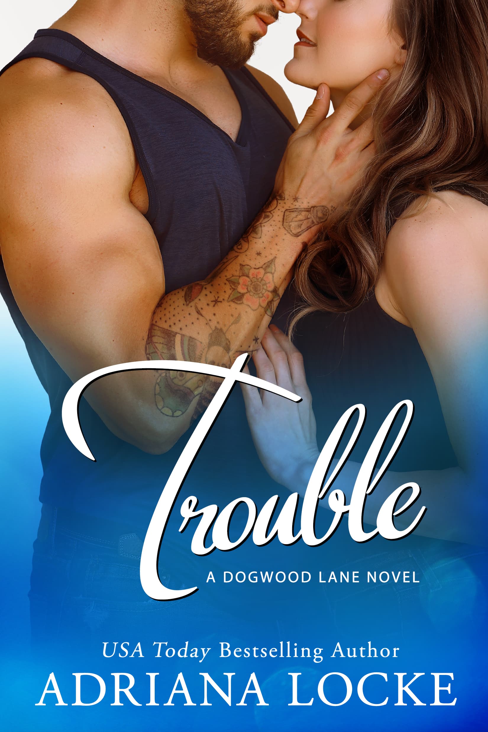 Trouble book cover
