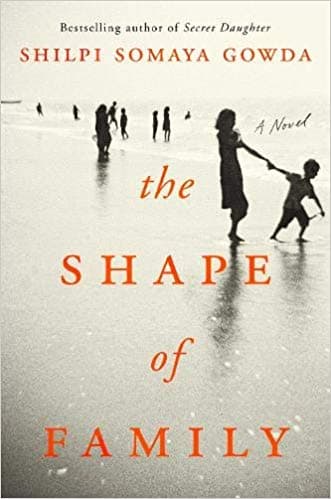 The Shape of Family book cover