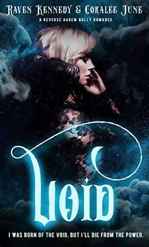 Void book cover