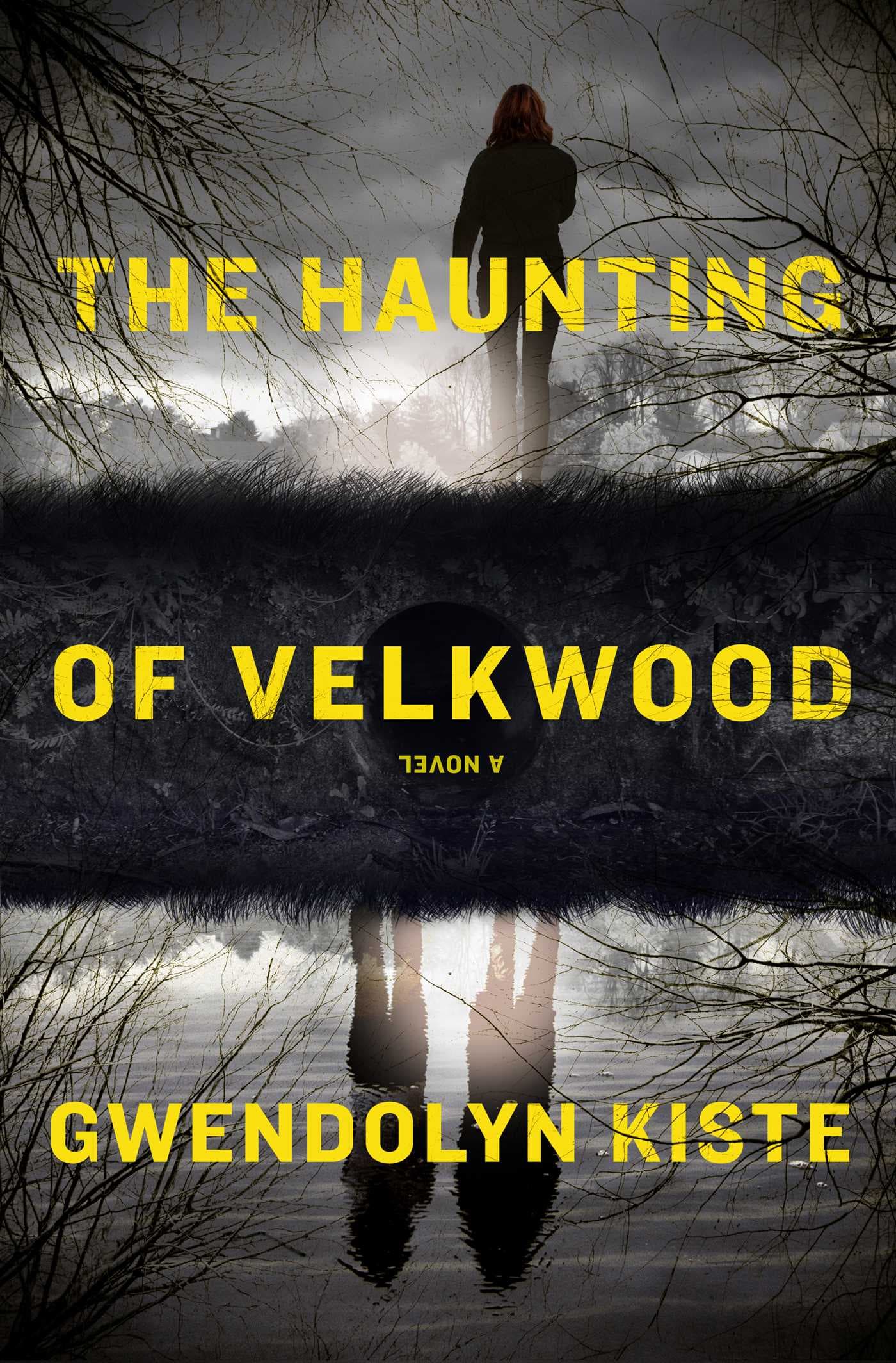 The Haunting of Velkwood book cover