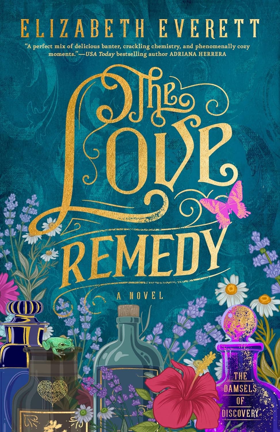 The Love Remedy book cover