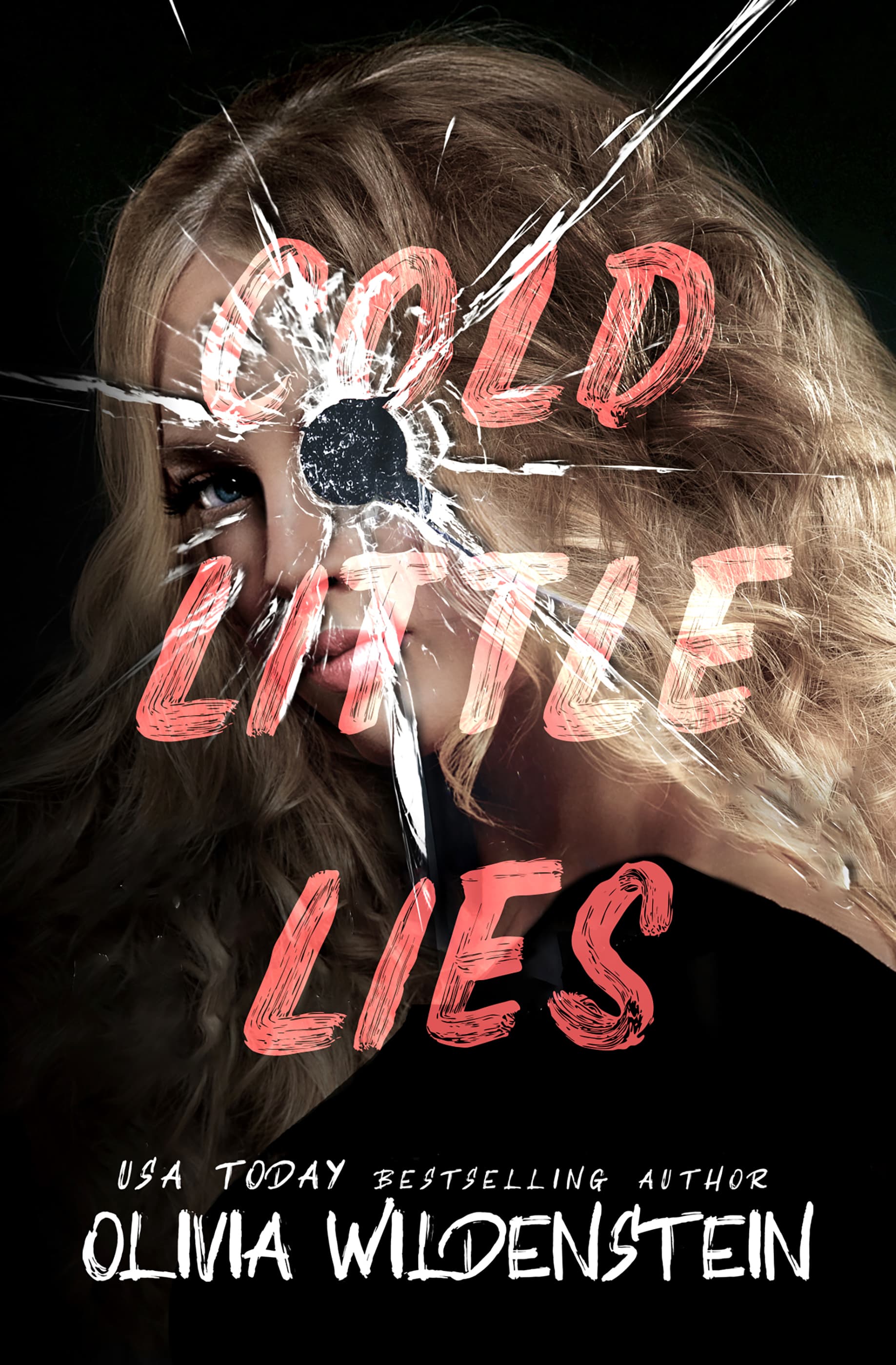 Cold Little Lies book cover