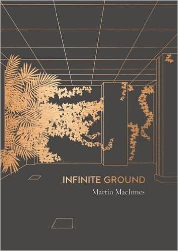 Infinite Ground book cover