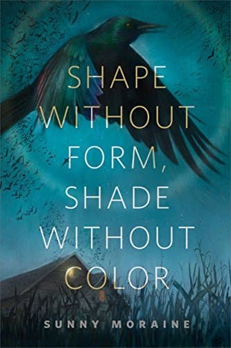 Shape Without Form, Shade Without Color book cover