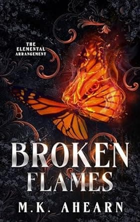 Broken Flames book cover