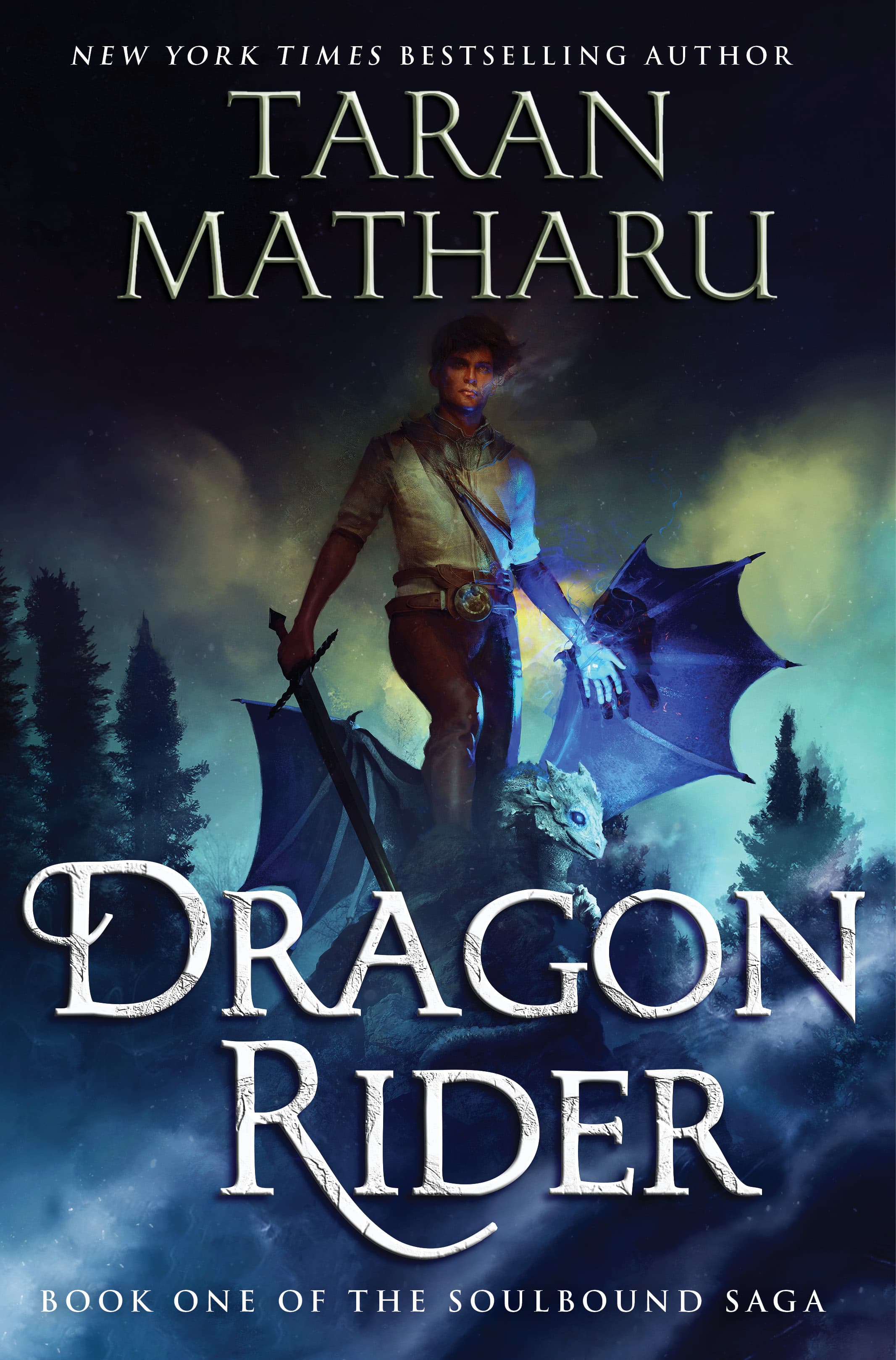 Dragon Rider book cover