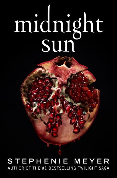 Midnight Sun book cover