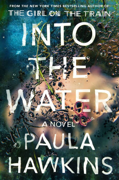 Into the Water book cover