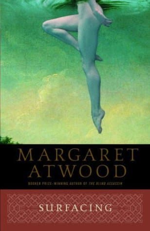 Surfacing book cover