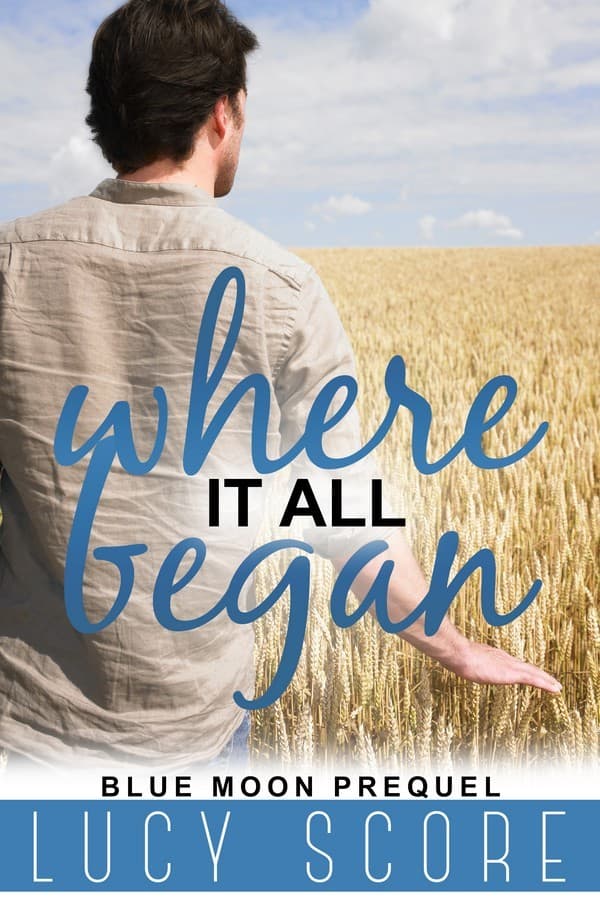 Where it all Began book cover