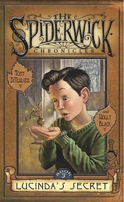 Lucinda's Secret book cover