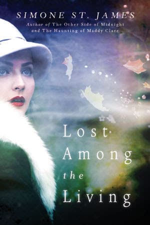 Lost Among the Living book cover