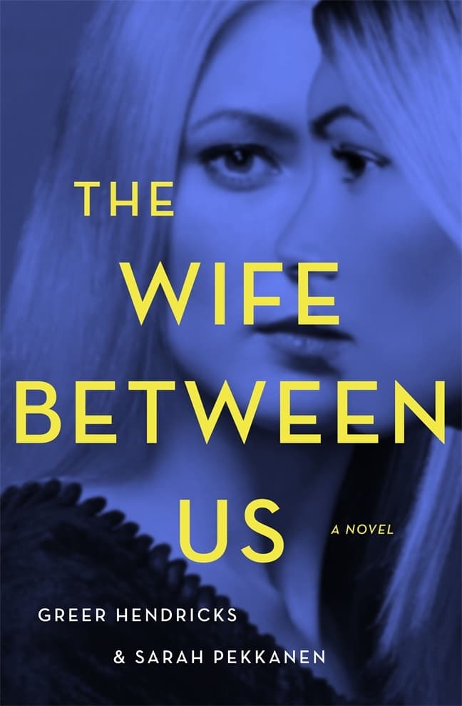 The Wife Between Us book cover