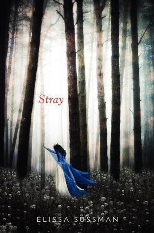 Stray book cover