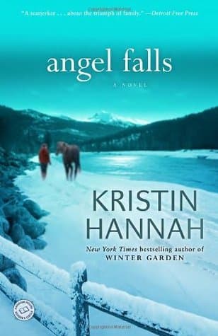 Angel Falls book cover