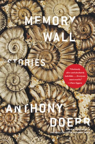 Memory Wall book cover