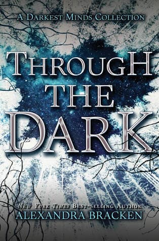 Through the Dark book cover