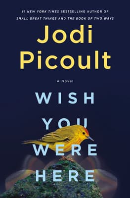 Wish You Were Here book cover